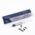 V - CAL- H - Calcium Hydroxide Paste